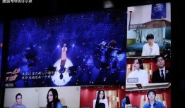 满汉歌手爆料视频,独家爆料视频曝光惊人内幕