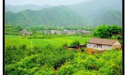 乡村美景大爆料视频下载,视频带你领略田园风光无限